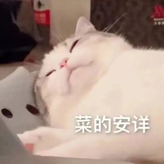 一些淡淡的猫猫表情包