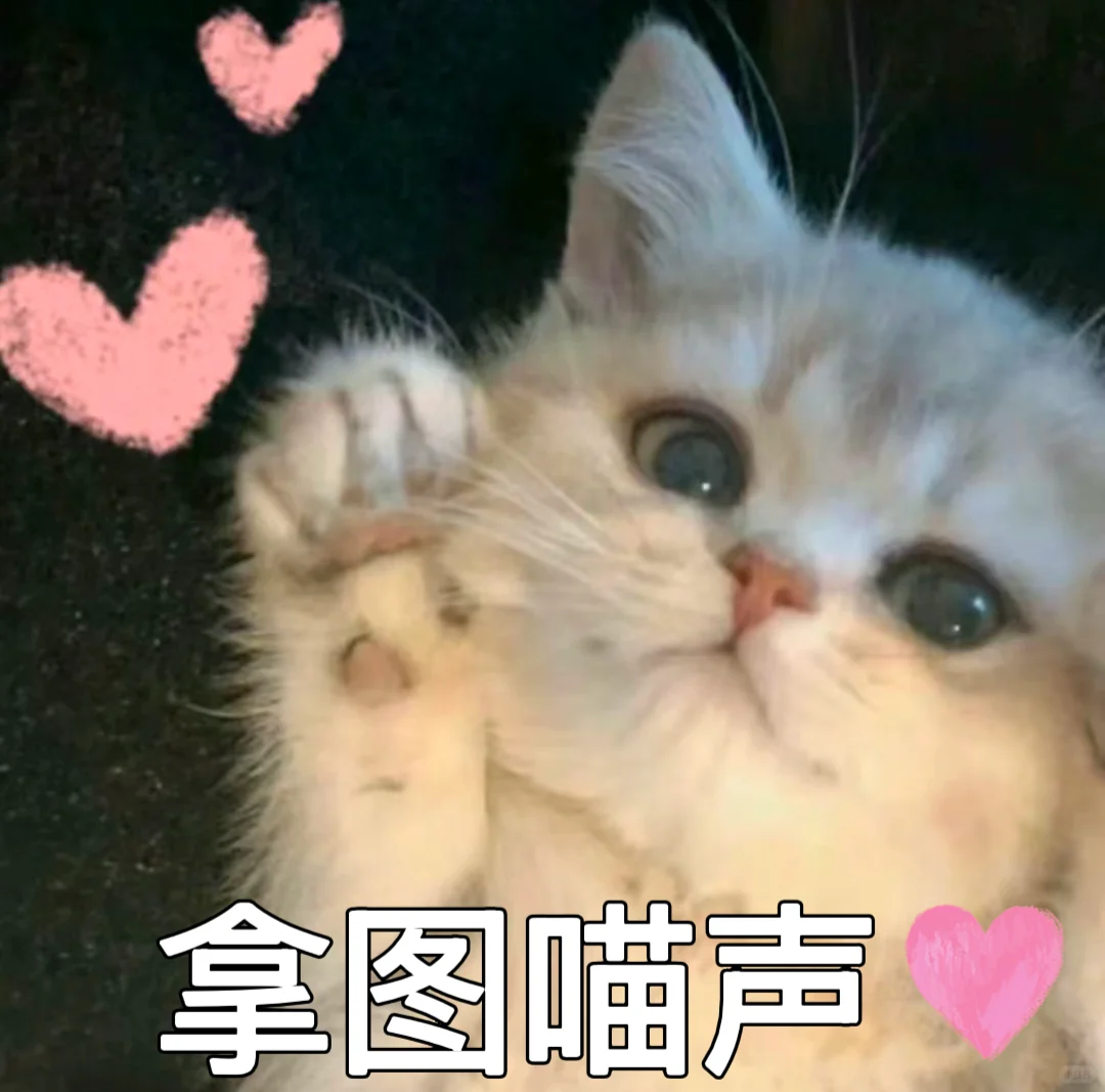 小猫咪表情包来咯～