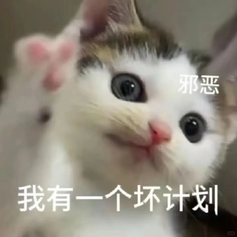 小猫咪表情包来咯～