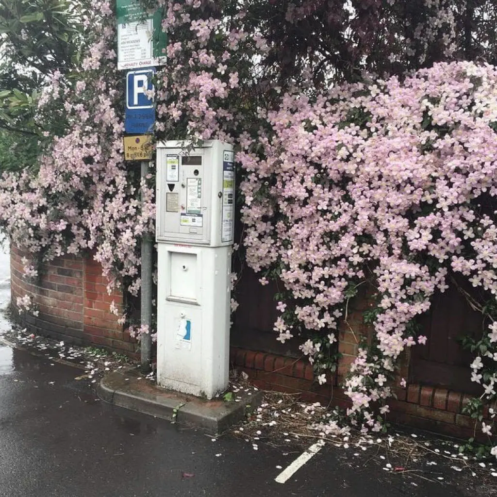 小众背景图丨嘿