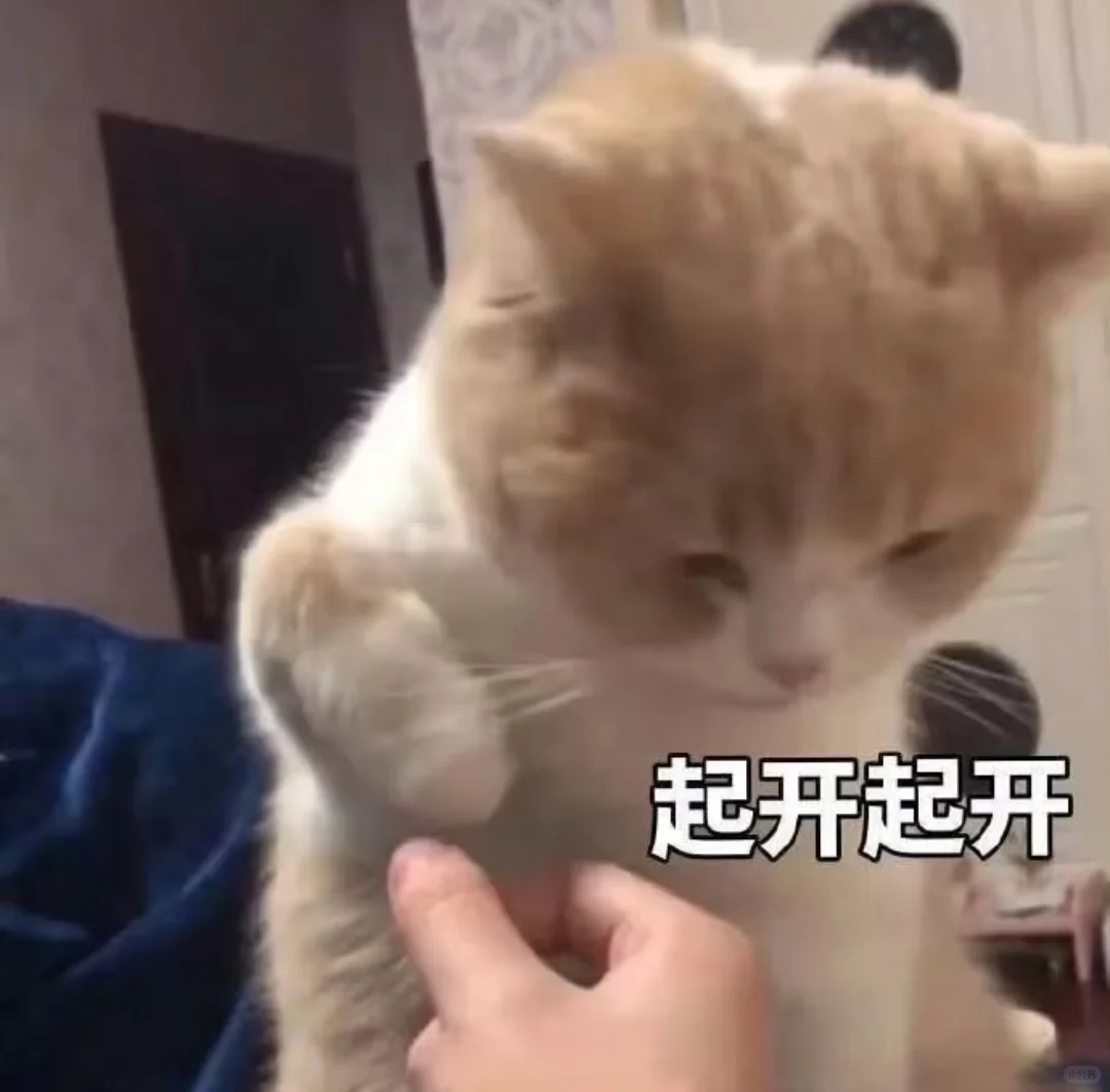 小猫咪表情包来咯～