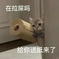 一些淡淡的猫猫表情包