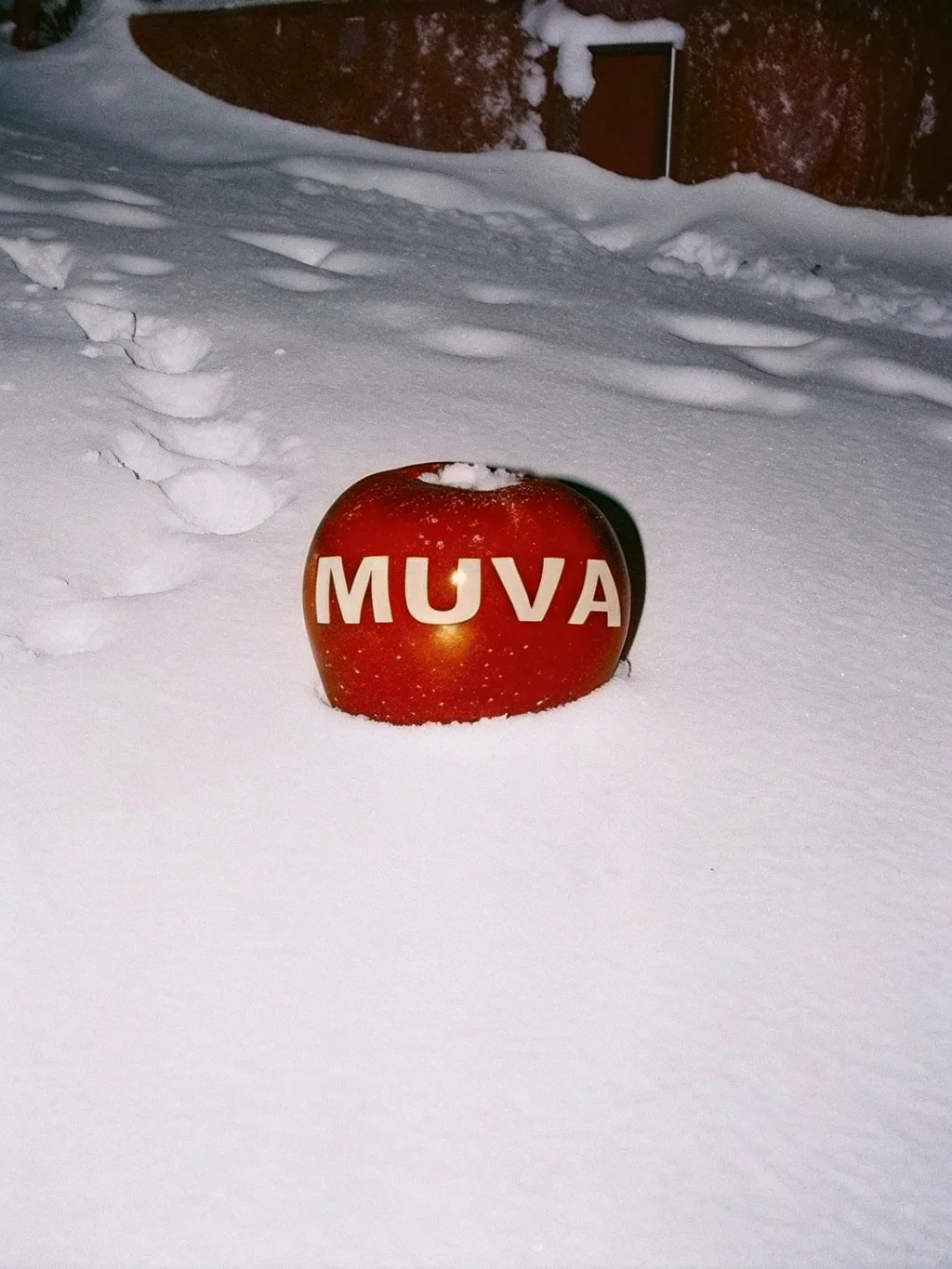 muva.和recraft一起度过缤纷冬日❄️