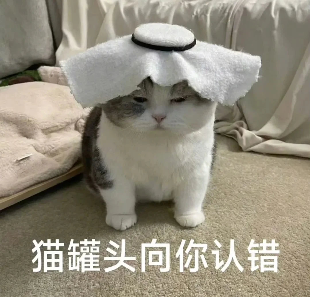 小猫咪表情包来咯～