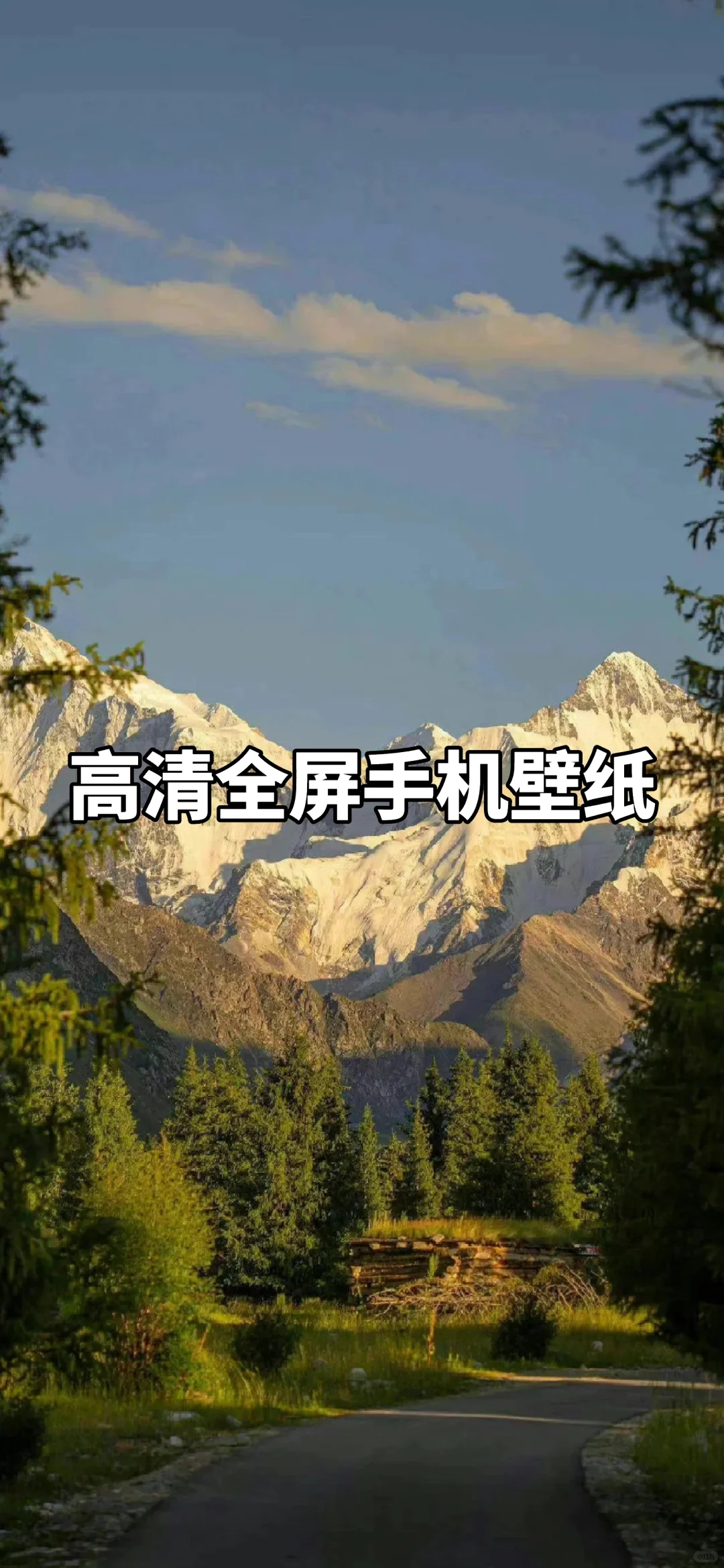 壁纸｜ins高清全屏手机壁纸