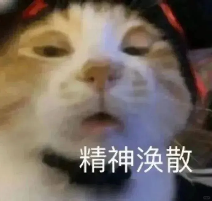 一些淡淡的猫猫表情包