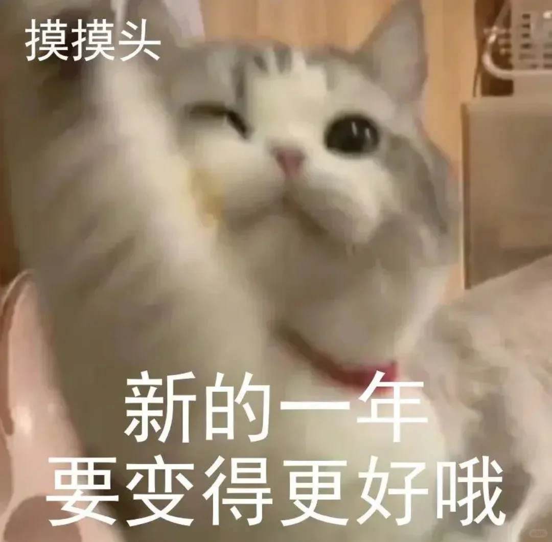 小猫咪表情包来咯～