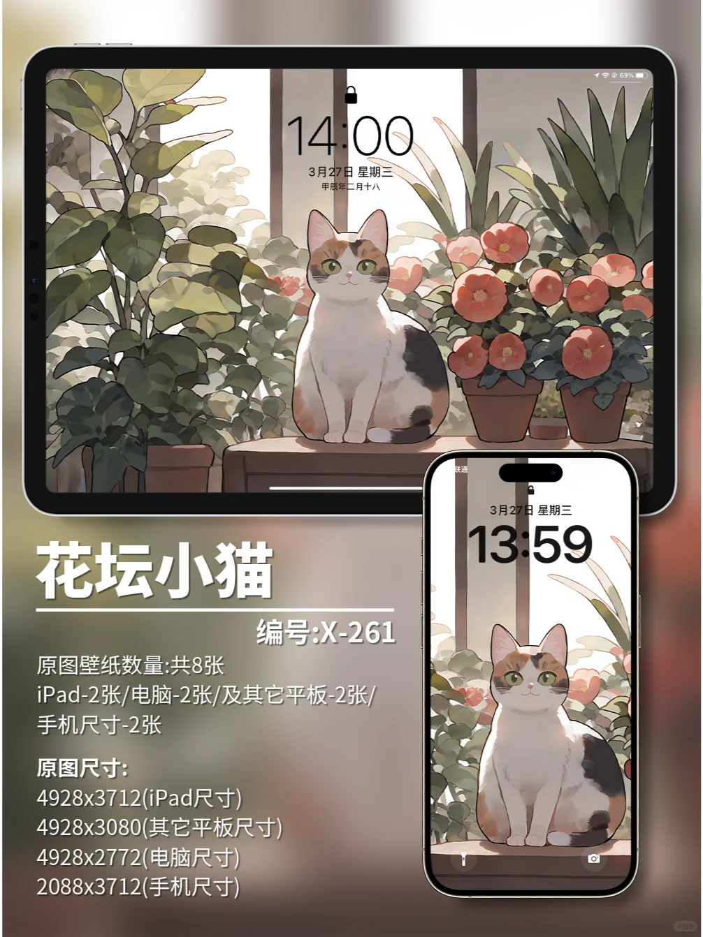 X261-花坛小猫|iPad壁纸|电脑|手机壁纸 4k