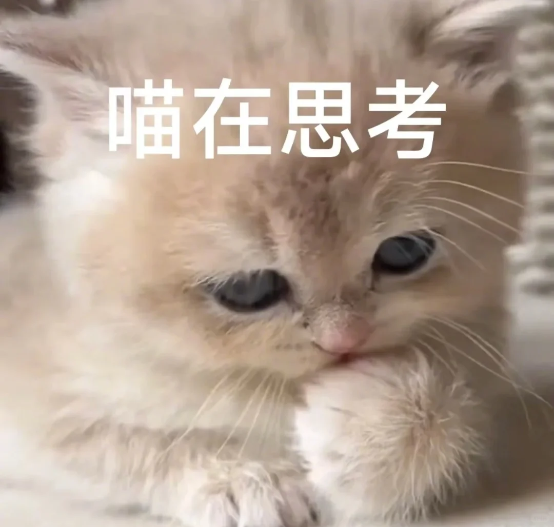 小猫咪表情包来咯～