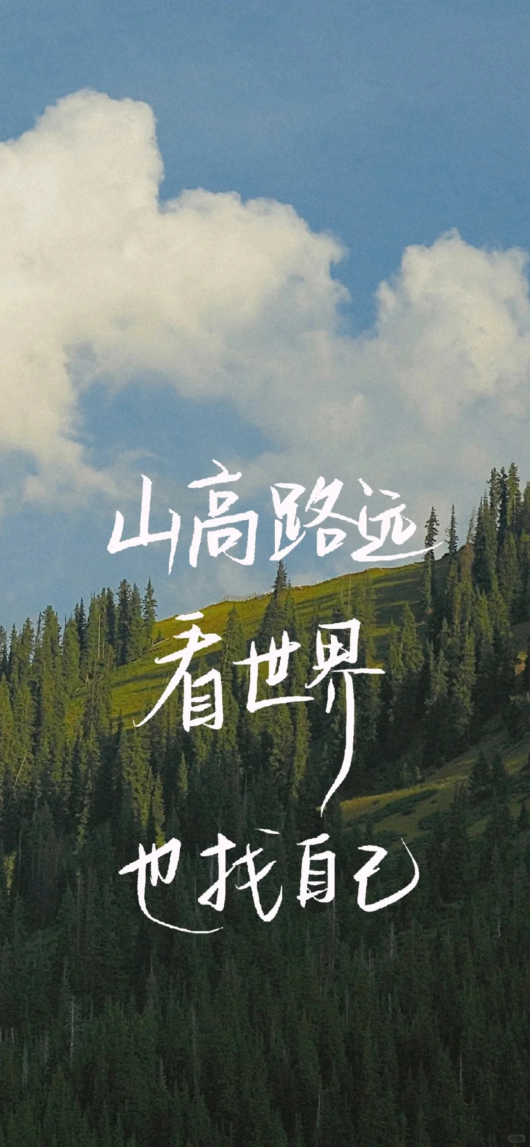 壁纸｜你当像鸟飞往你的山