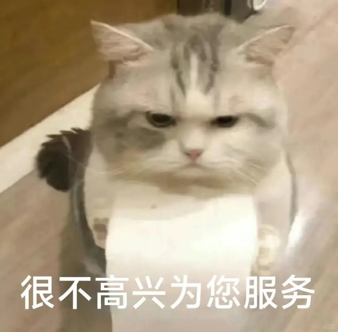 小猫咪表情包来咯～