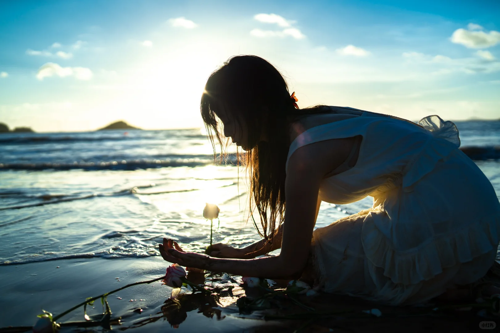 海上生花是自由的浪漫