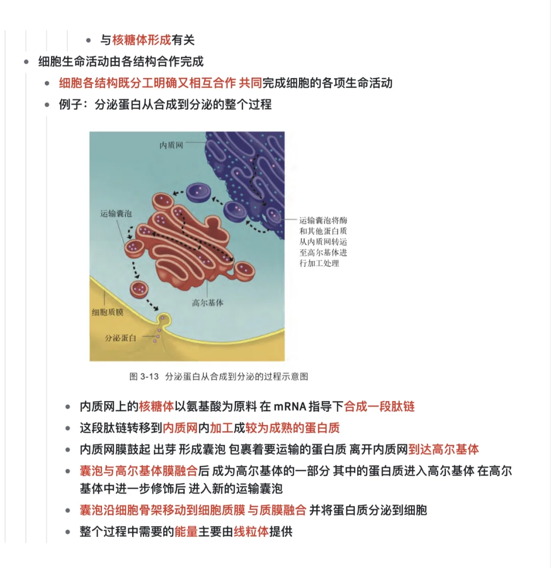 📝上海八大|新教材生物必修一第三章整理🧪