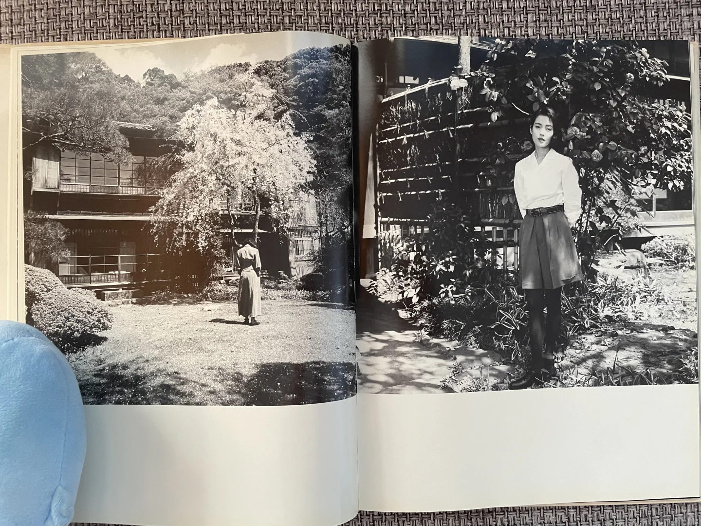 樋口可南子写真集《water fruit》转让