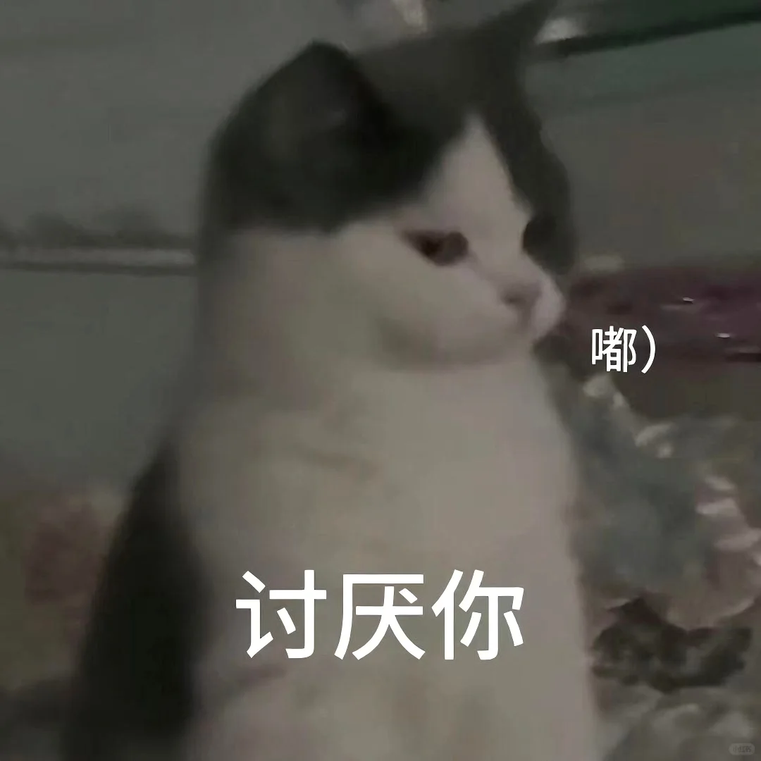 表情包||猫meme演我上班精神状态