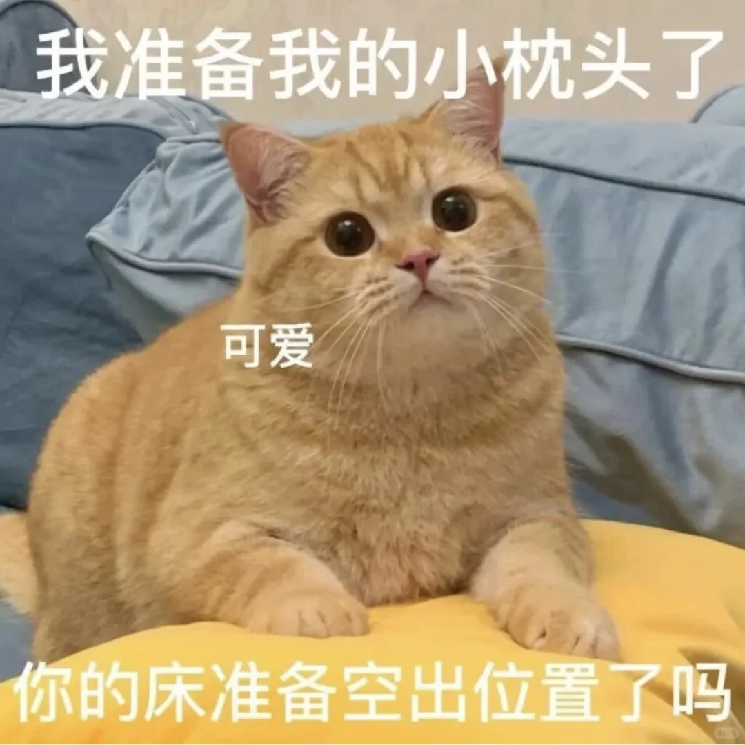 猫猫头像表情包可爱萌萌哒的小动物