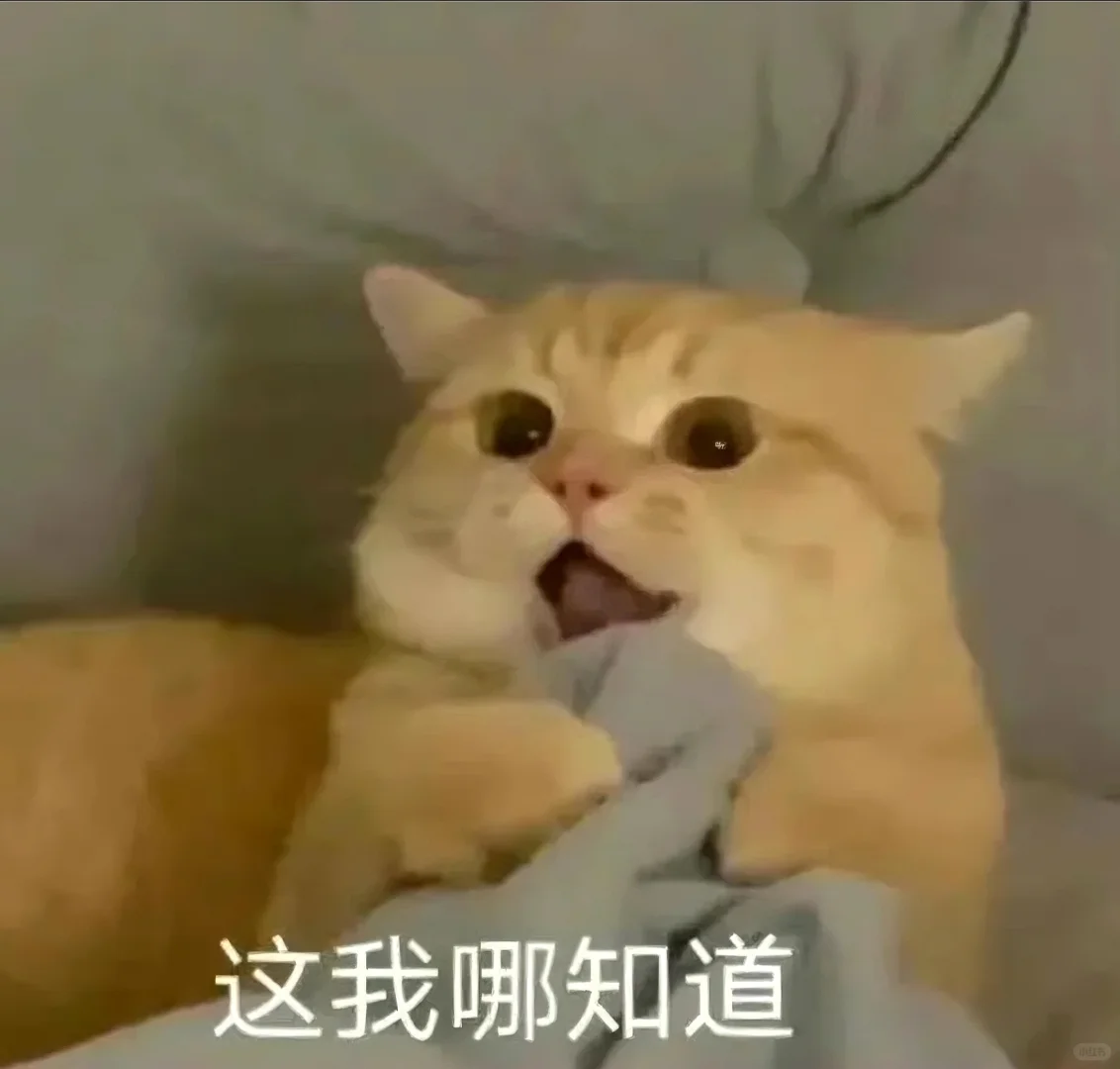 表情包||猫meme演我上班精神状态