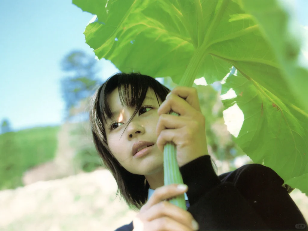 堀北真希写真集「ひこうきぐも」纯亖了