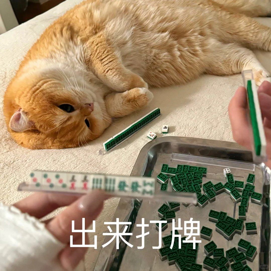 18图咻猫过年&红包表情包攻击