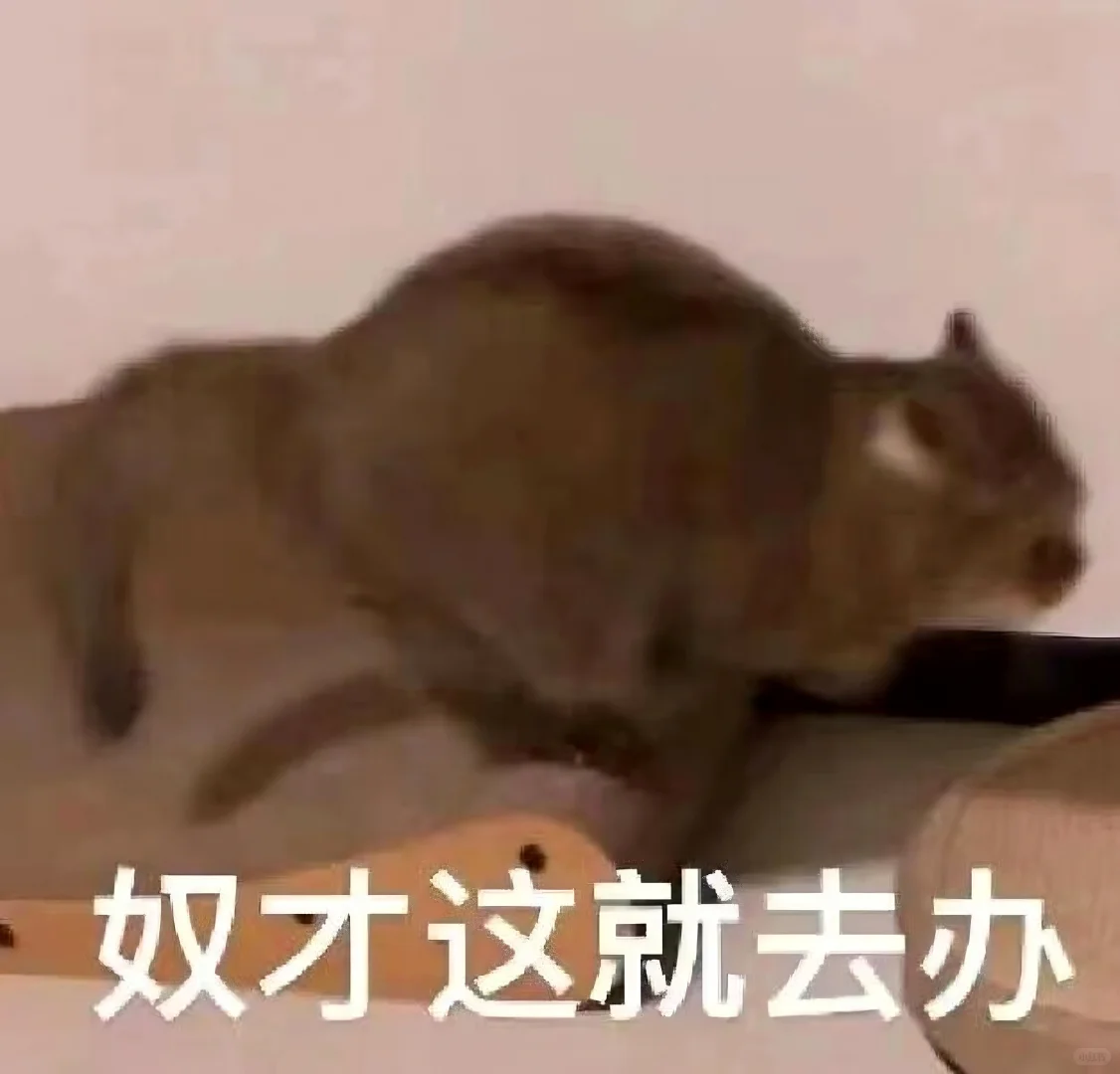 表情包||猫meme演我上班精神状态