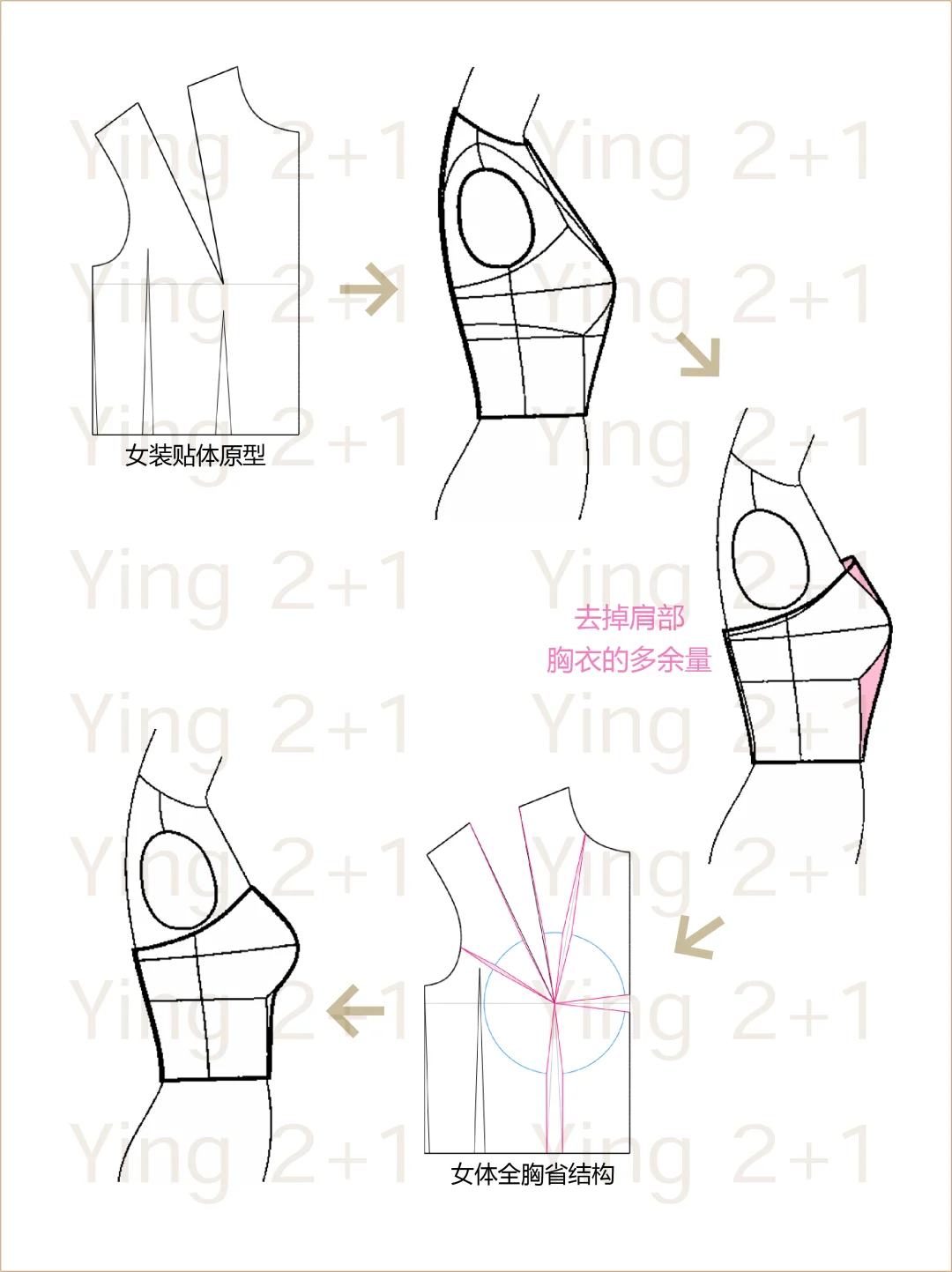 全胸省结构～