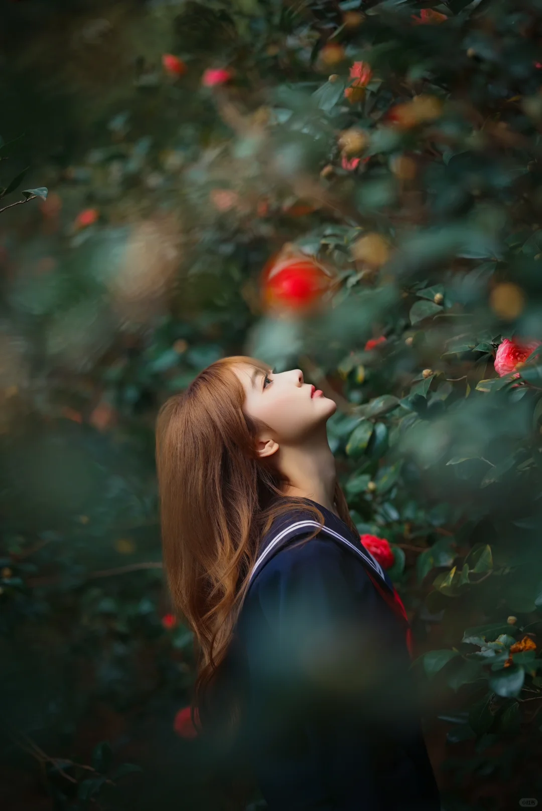 山茶花下的春日JK制服少女写真