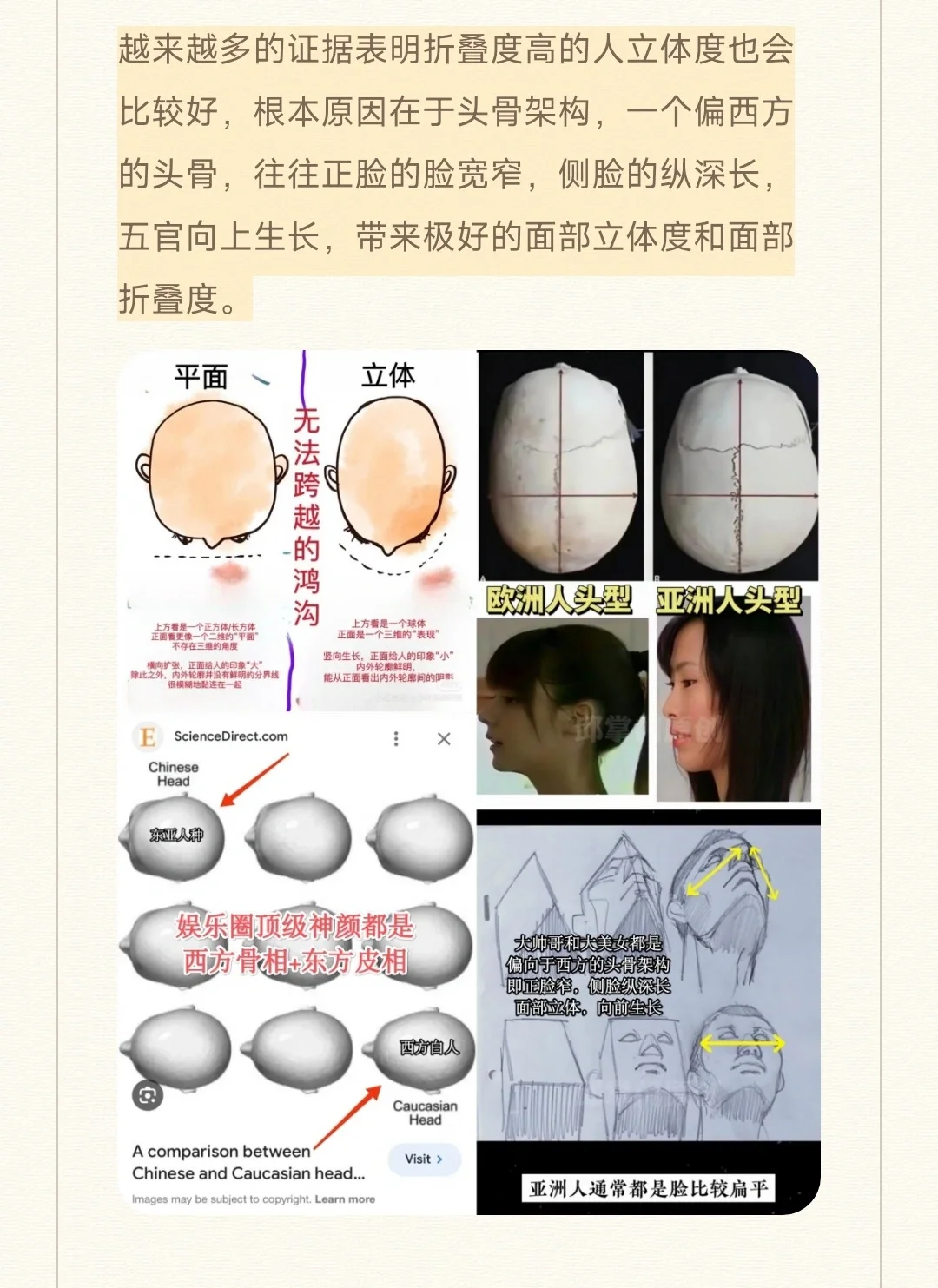 面部美学标准概念汇总及颜值评分准则