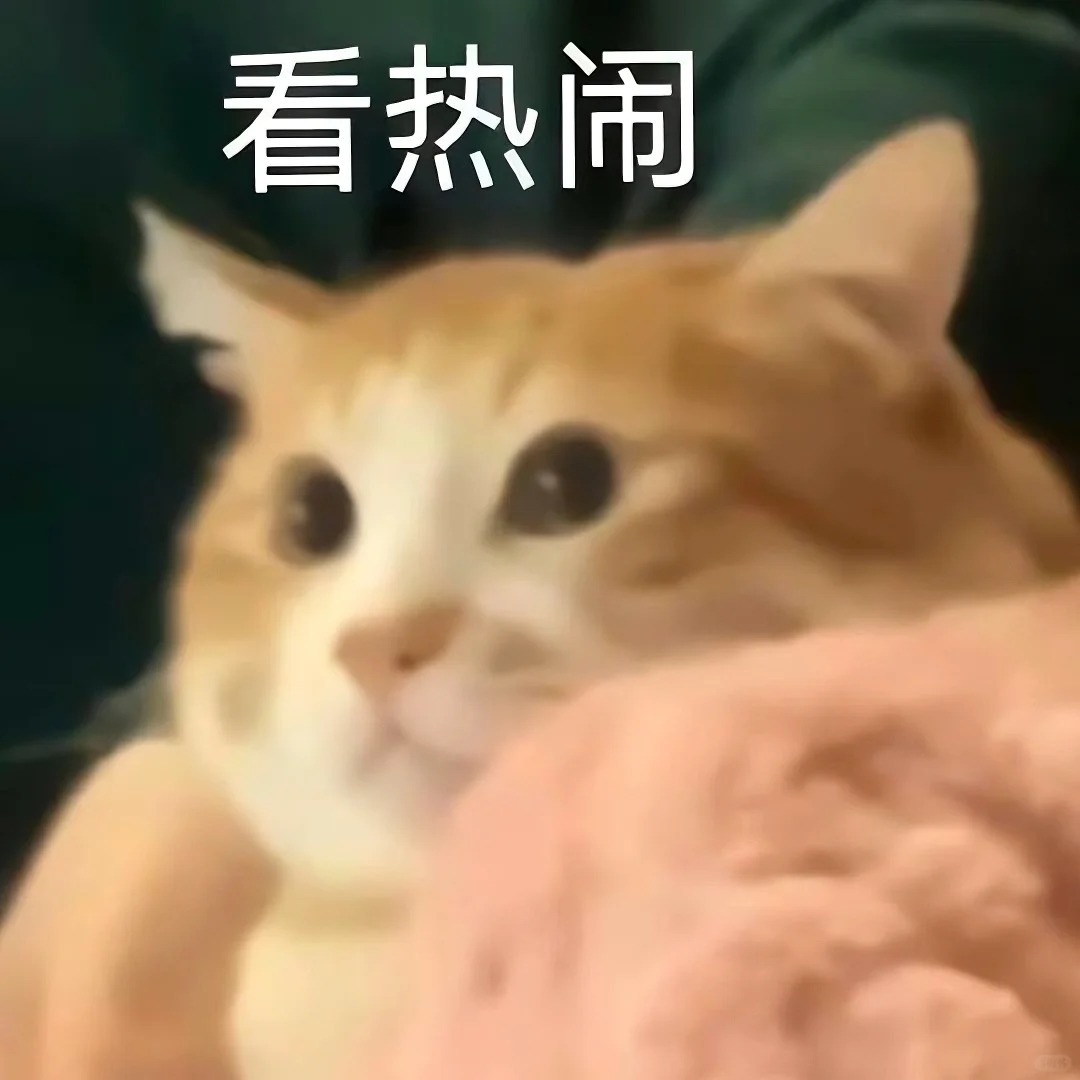 表情包||猫meme演我上班精神状态