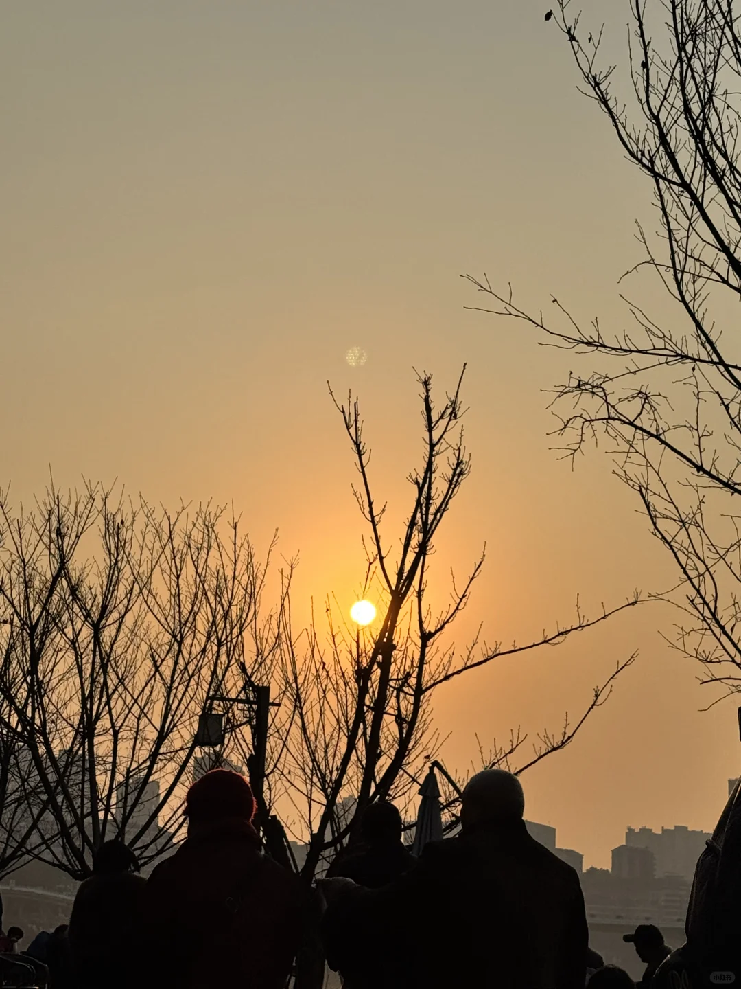 一起来晒太阳噜