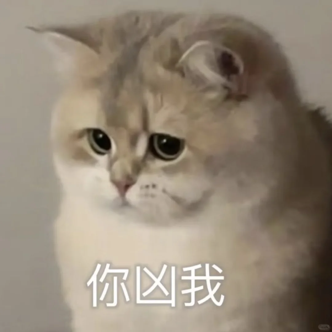 猫猫头像表情包可爱萌萌哒的小动物