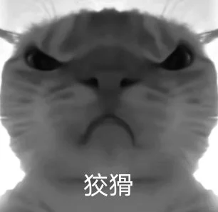 小猫表情包分享