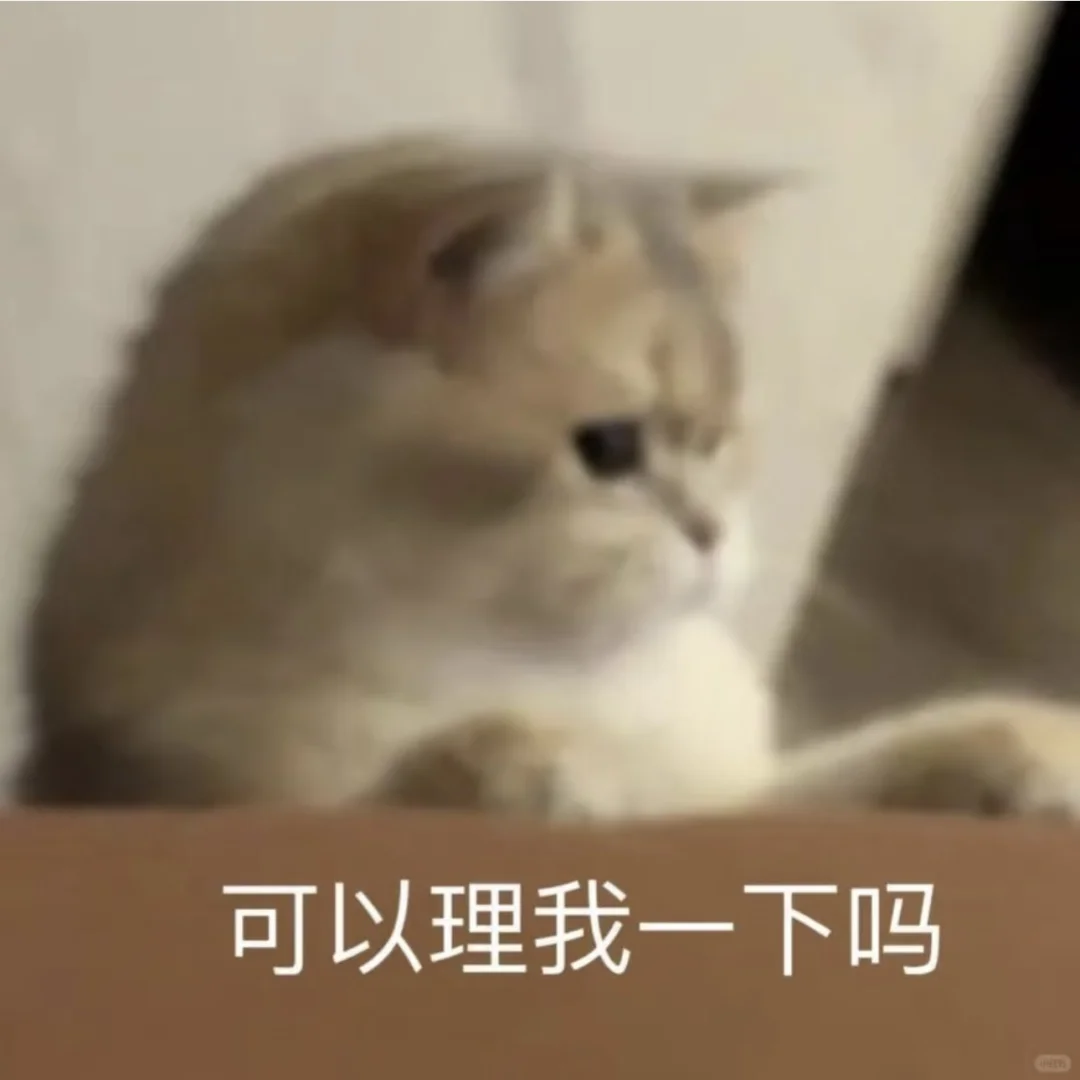 猫猫头像表情包可爱萌萌哒的小动物