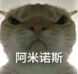 小猫表情包分享