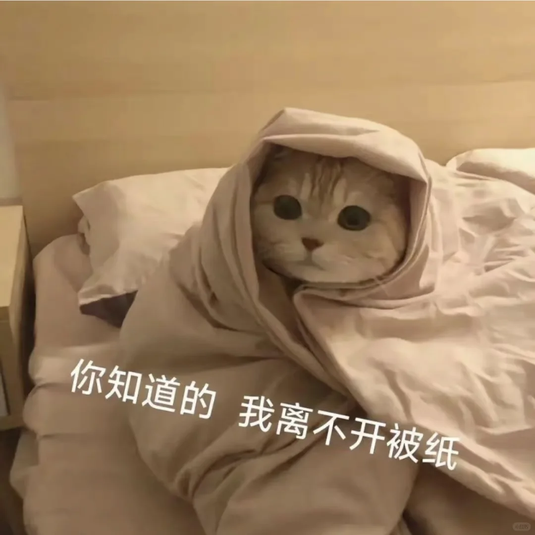 猫猫头像表情包可爱萌萌哒的小动物