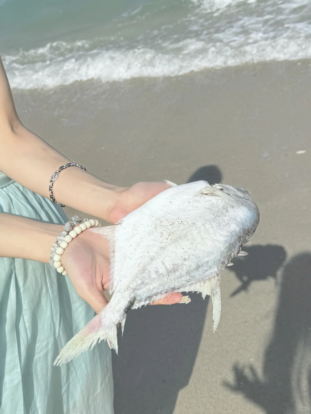 海岛日记🏝️🥥