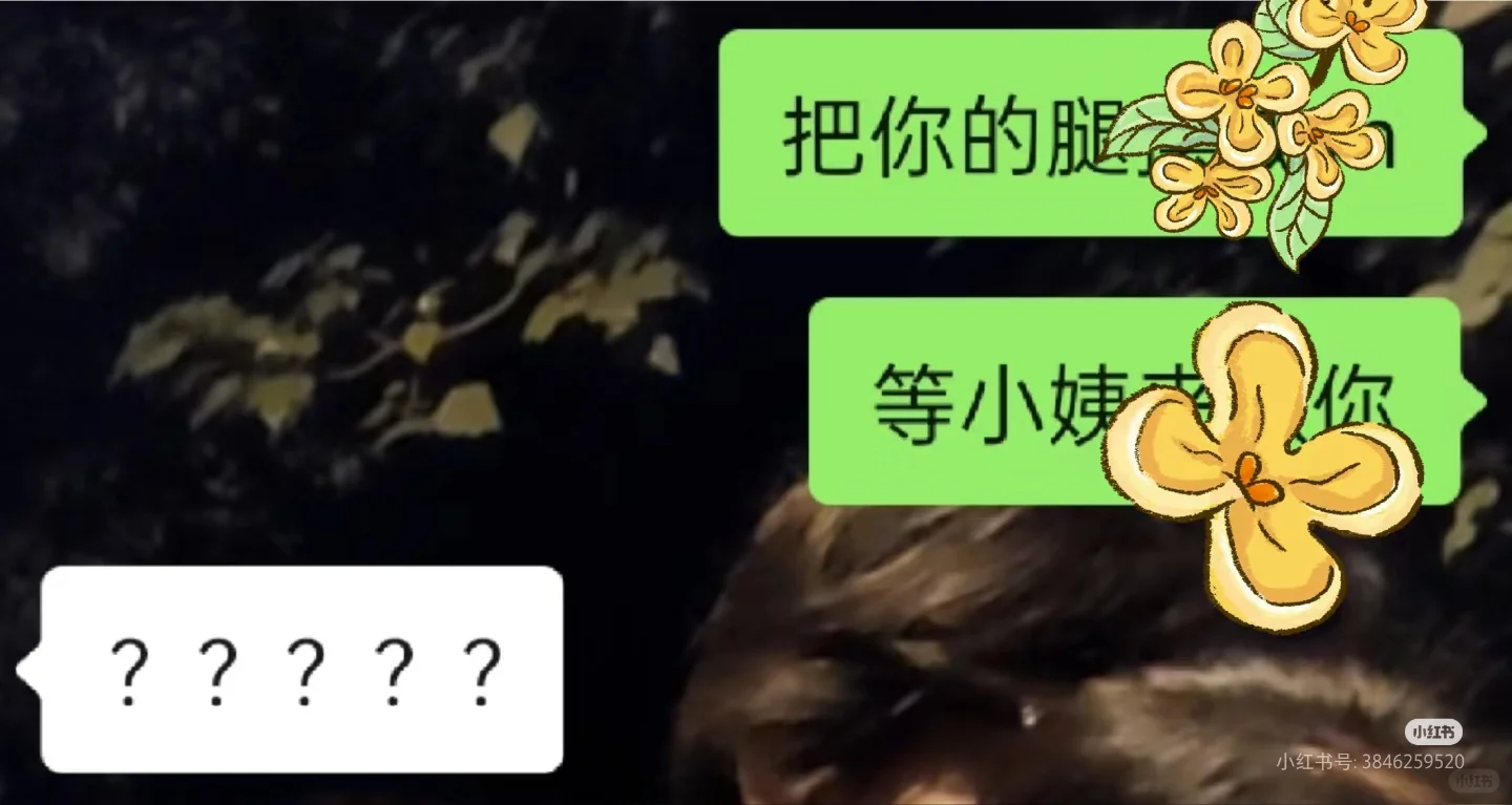 le|和被叫妈妈一样奇妙的是被叫小姨……