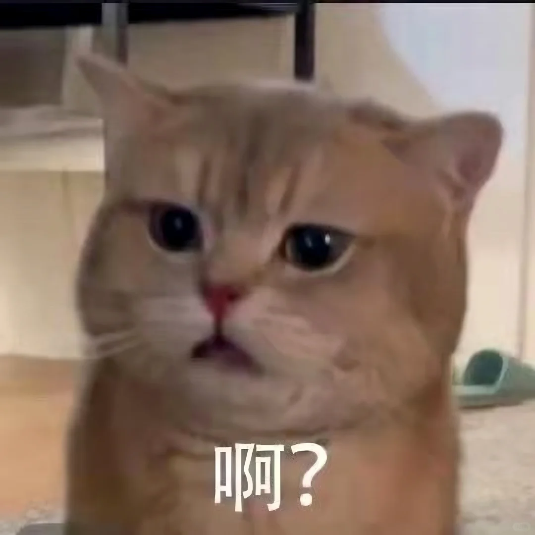 表情包||猫meme演我上班精神状态