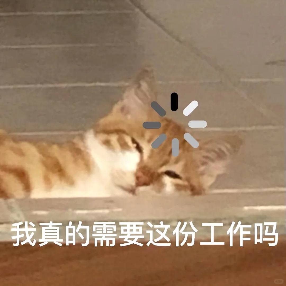 表情包||猫meme演我上班精神状态