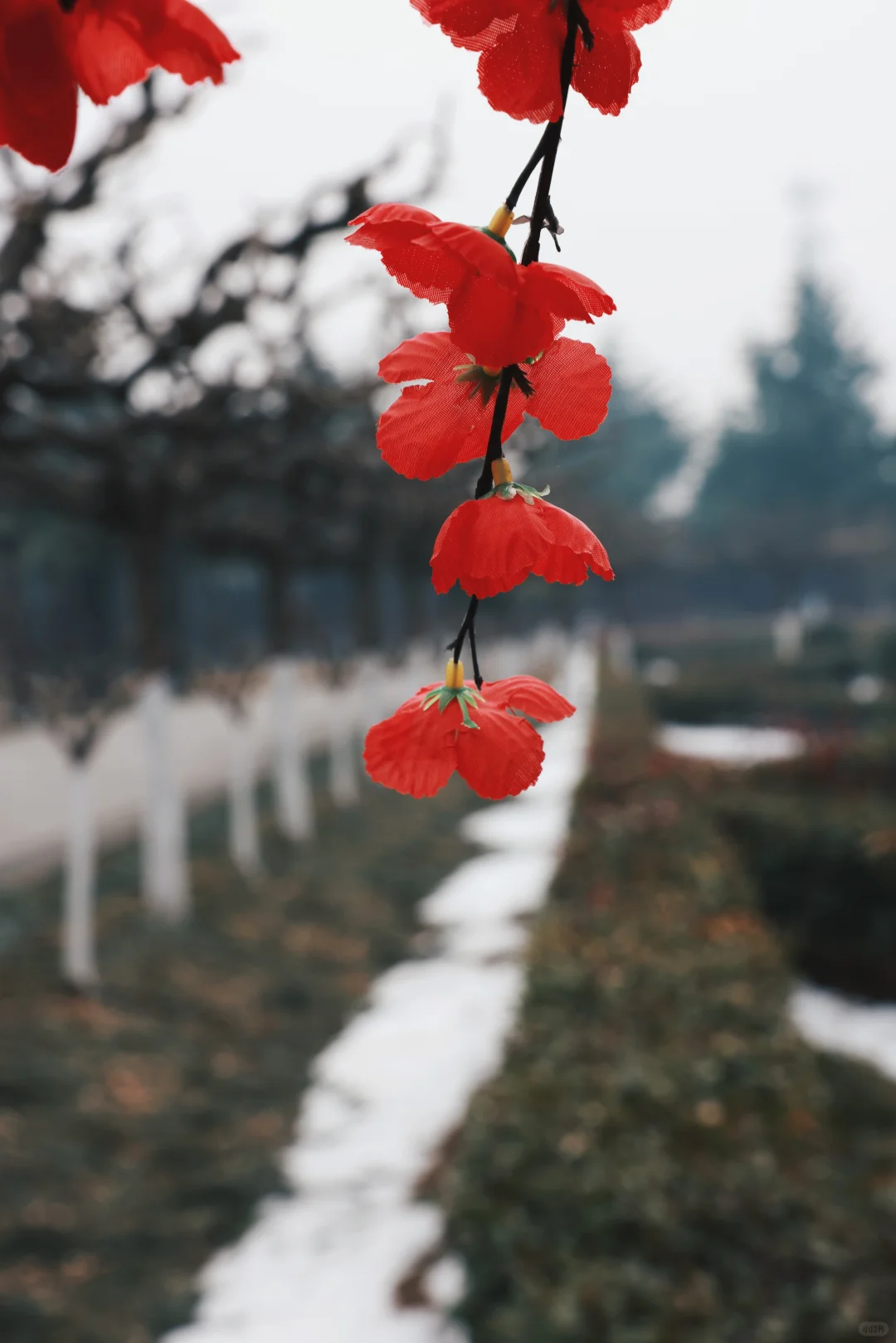 西汉帝陵沿途的风景