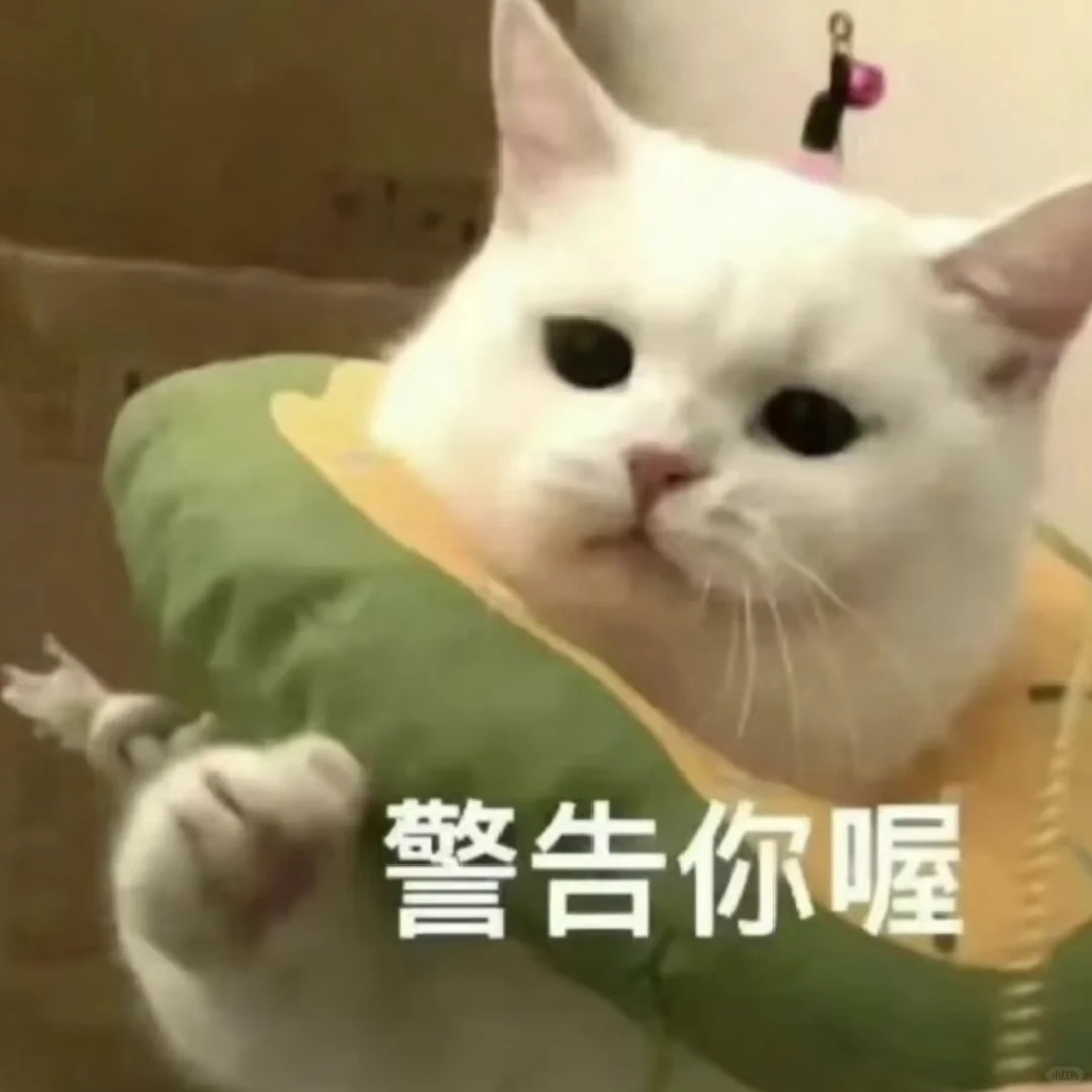 猫猫头像表情包可爱萌萌哒的小动物