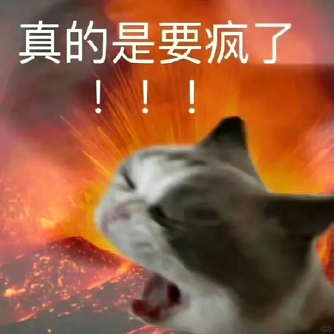 表情包||猫meme演我上班精神状态