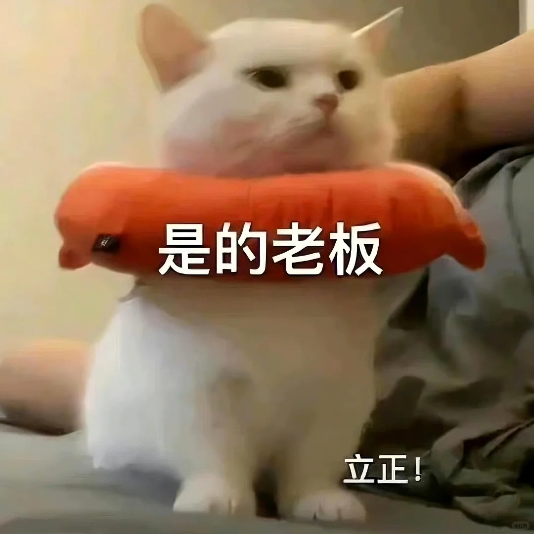 表情包||猫meme演我上班精神状态