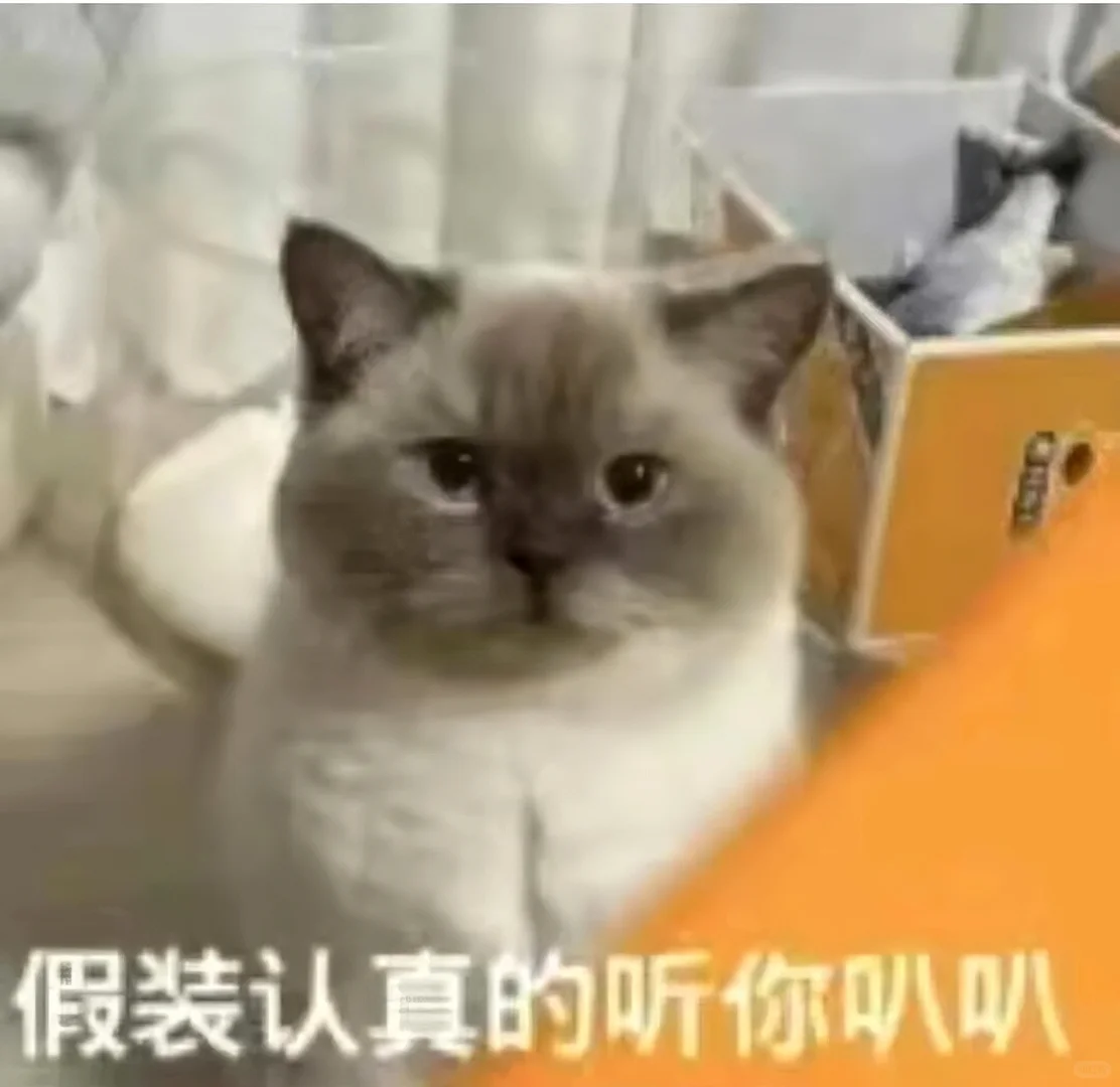 表情包||猫meme演我上班精神状态