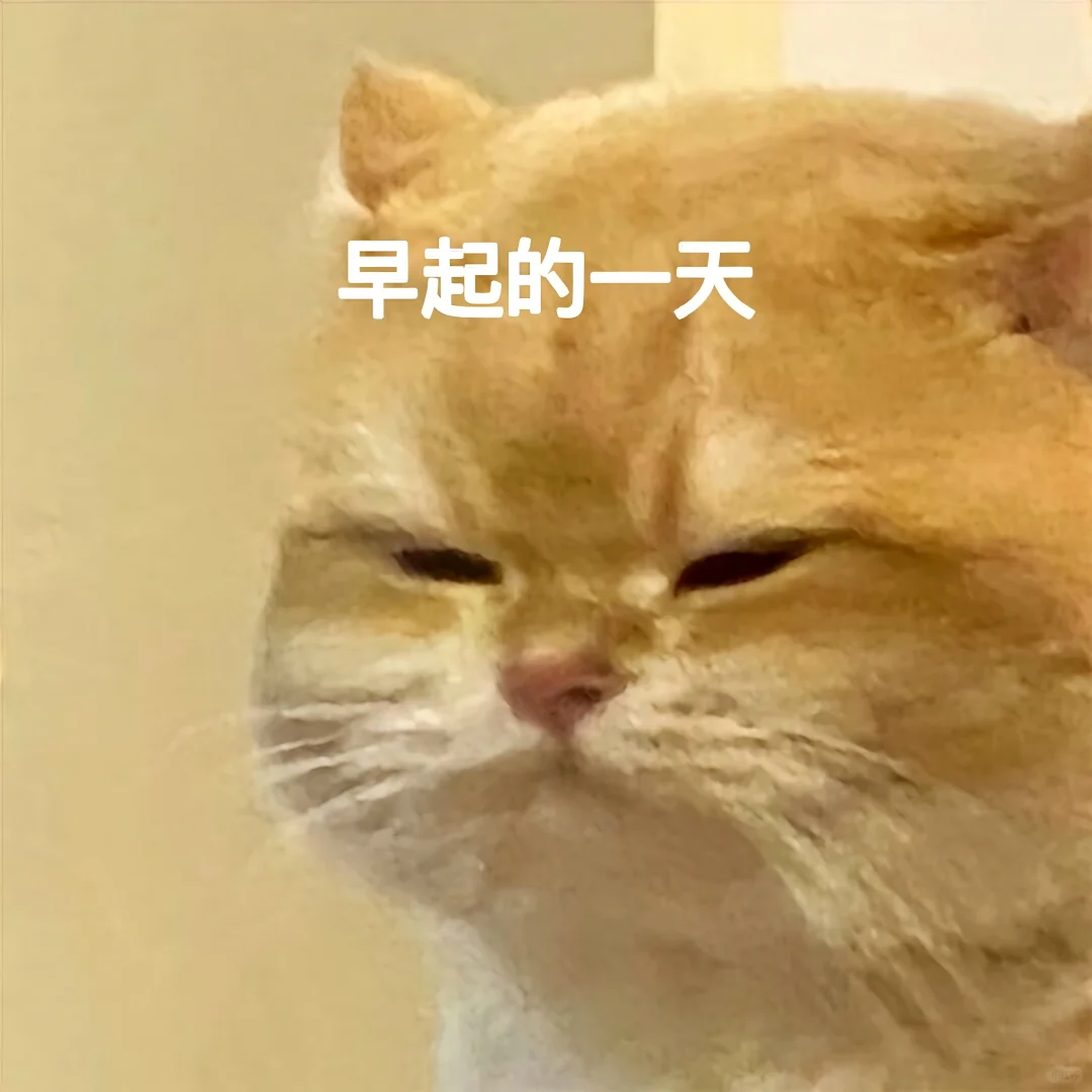 表情包||猫meme演我上班精神状态