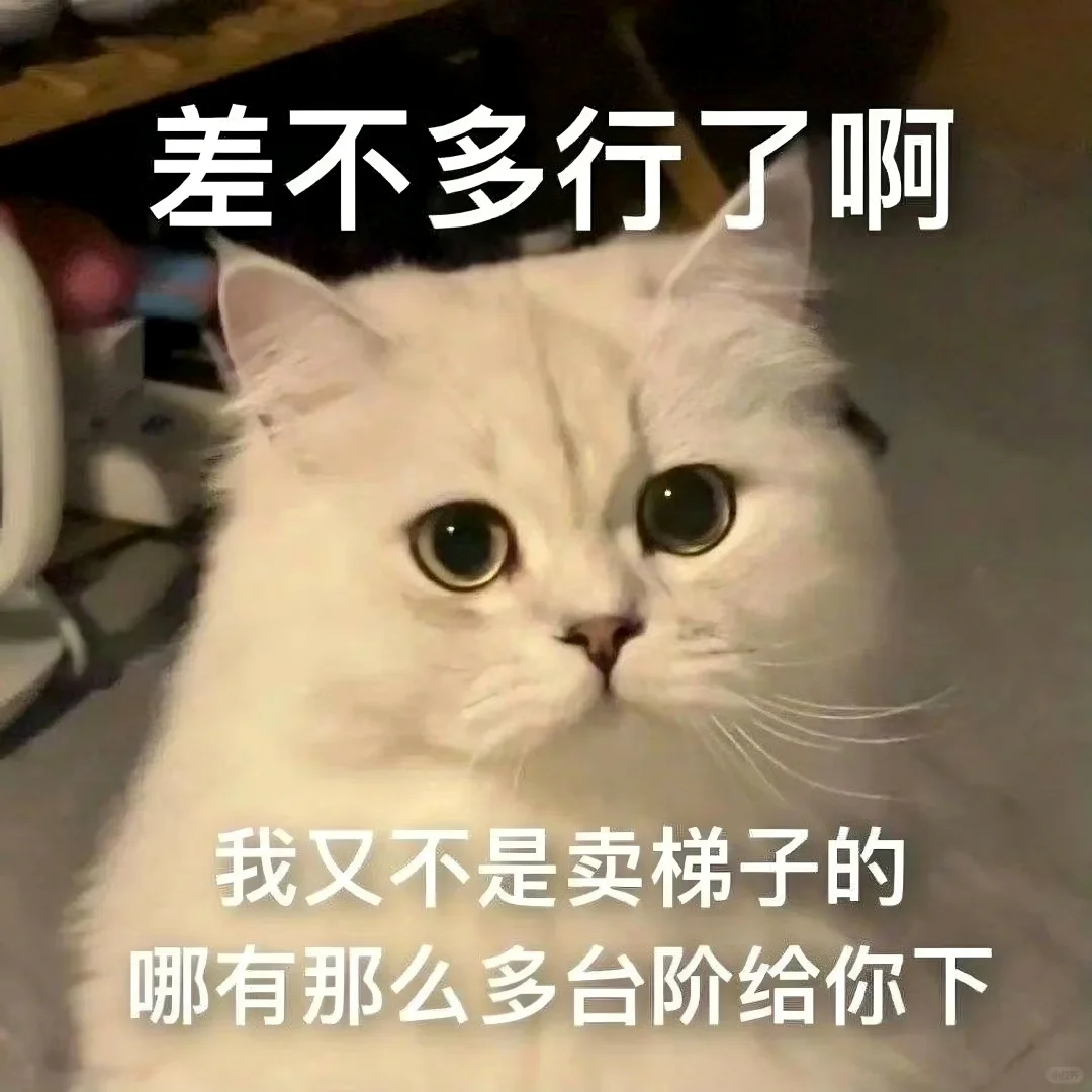 表情包||猫meme演我上班精神状态