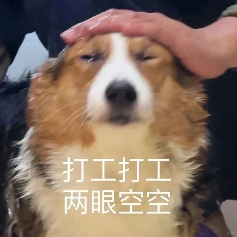 你不要给我哇哇叫