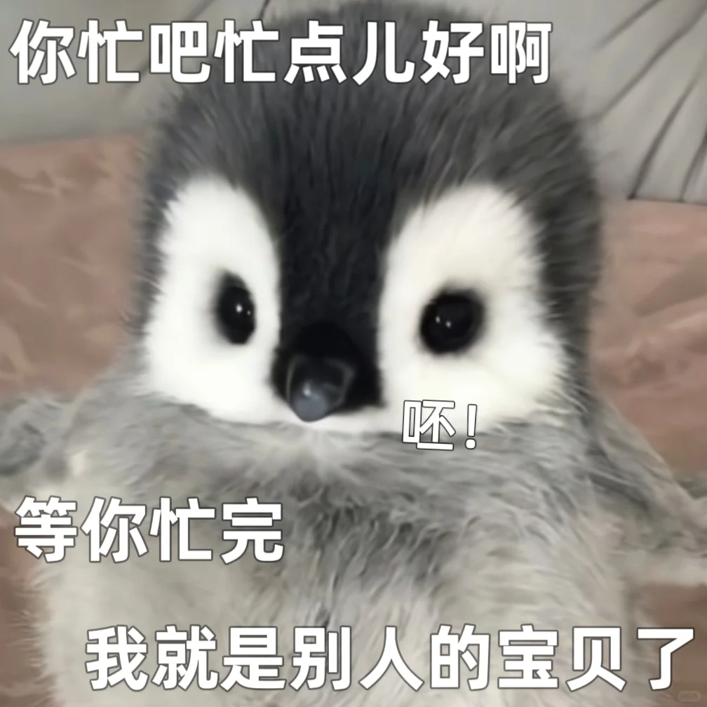 表情包|今日份最可爱的🐧驾到！快存！