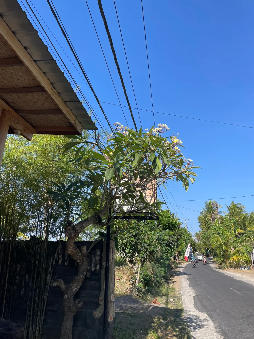 海岛日记?｜佩尼达岛上随处可见的蓝色海