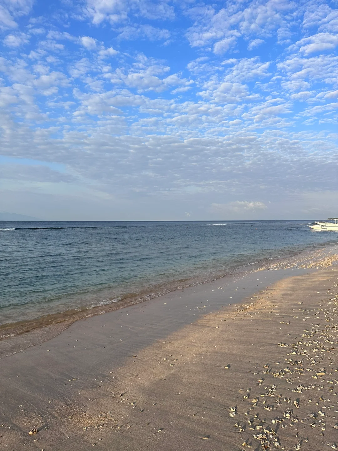 海岛日记?｜佩尼达岛上随处可见的蓝色海