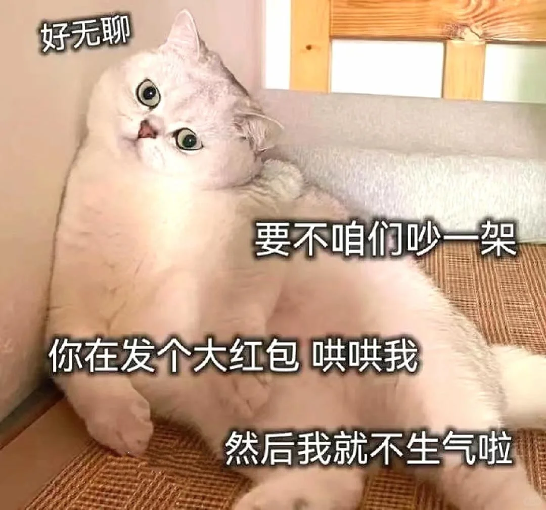 可爱小猫咪表情包